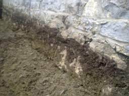 Carrowmore  10030.jpg